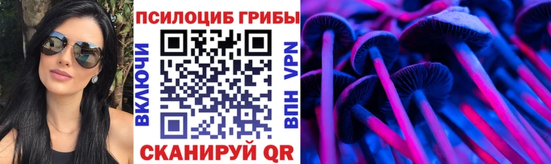 Псилоцибиновые грибы Psilocybine cubensis  omg вход  Катайск 